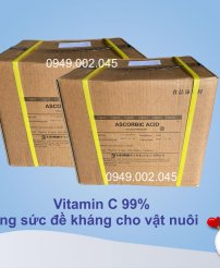 VITAMIN C - Nguyên liệu 99%, tăng sức đề kháng cho vật nuôi