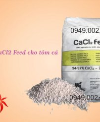 CaCl2 Feed - Khoáng Canxi clorua khan dạng hạt