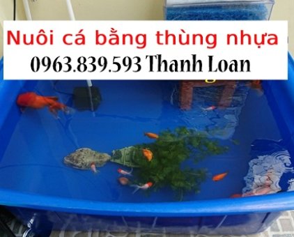 Thùng nhựa đựng nước, thùng nuôi cá các loại rẻ tại hcm.  lh 0963 839 593 Ms.Loan-2
