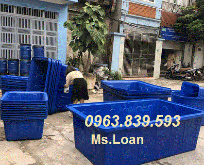Thùng nhựa đựng nước, thùng nuôi cá các loại rẻ tại hcm.  lh 0963 839 593 Ms.Loan-3