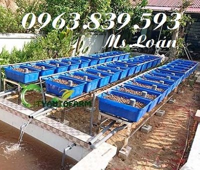 Thùng nhựa đựng nước, thùng nuôi cá các loại rẻ tại hcm.  lh 0963 839 593 Ms.Loan-4