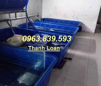 Thùng nhựa đựng nước, thùng nuôi cá các loại rẻ tại hcm.  lh 0963 839 593 Ms.Loan-6